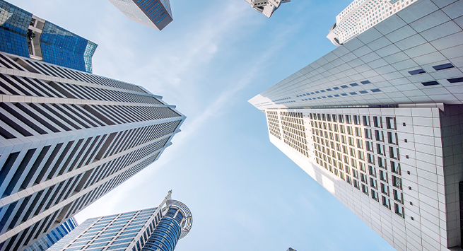 스타트업 비즈니스 전공